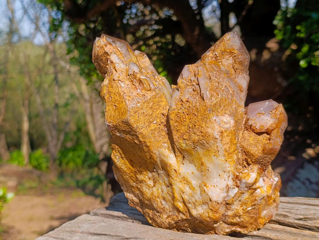 Natural Large Red Hematoid Quartz Cluster x 1 From Karoi, Zimbabwe