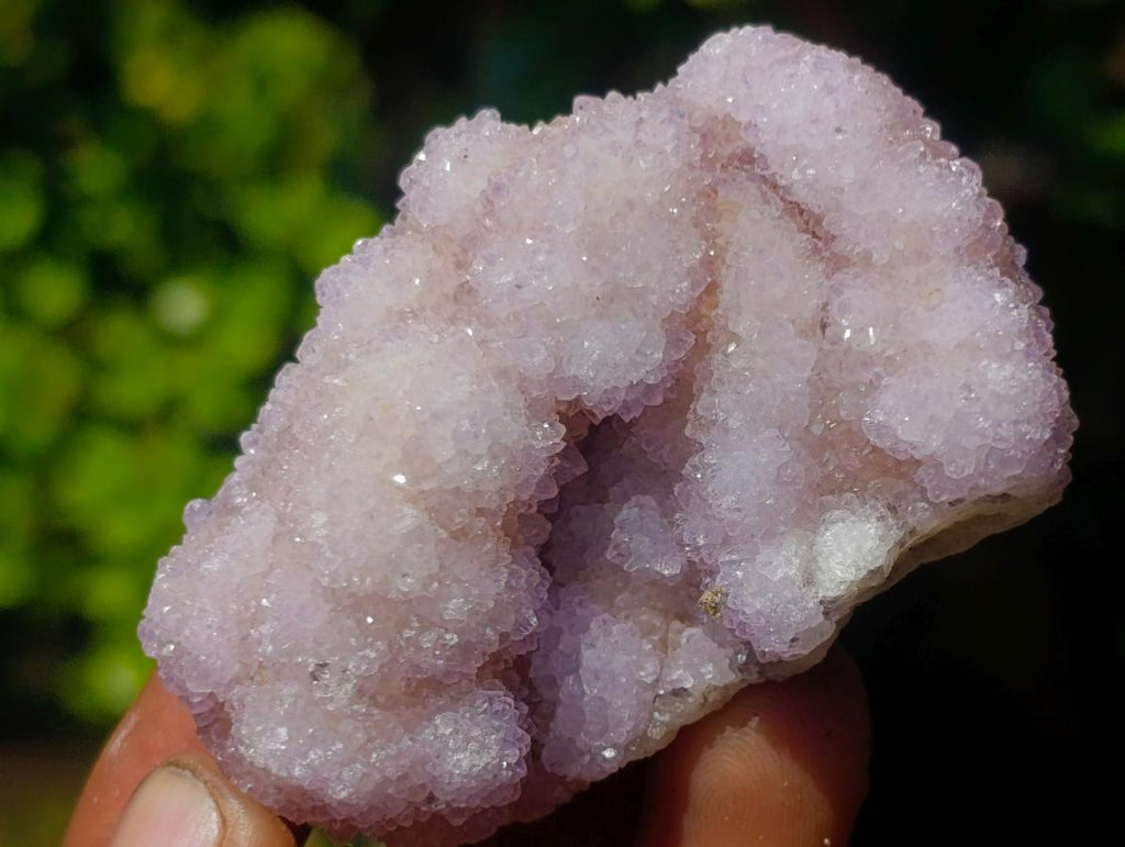 Natural Mix of Spirit Quartz Clusters x 24 From Boekenhouthoek, South Africa