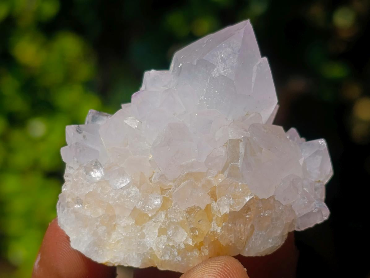 Natural Mix of Spirit Quartz Clusters x 24 From Boekenhouthoek, South Africa