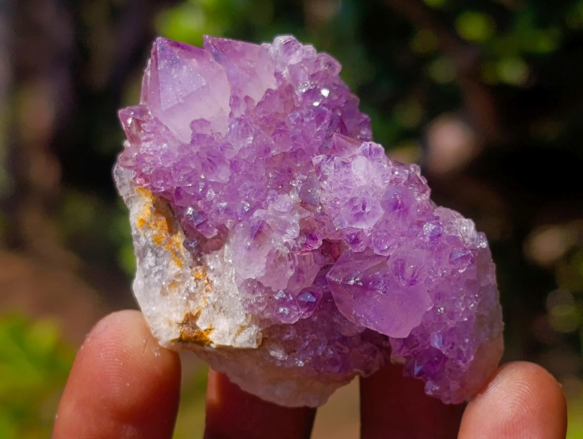 Natural Mix of Spirit Quartz Clusters x 24 From Boekenhouthoek, South Africa