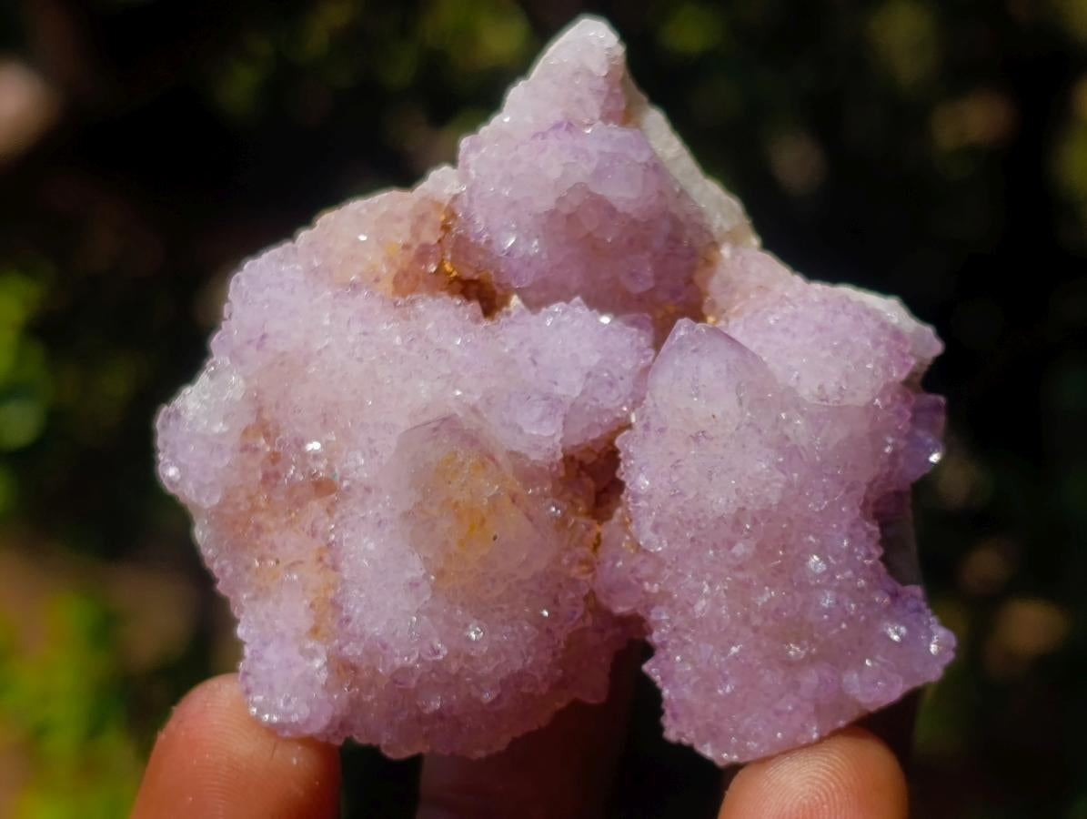 Natural Mix of Spirit Quartz Clusters x 24 From Boekenhouthoek, South Africa