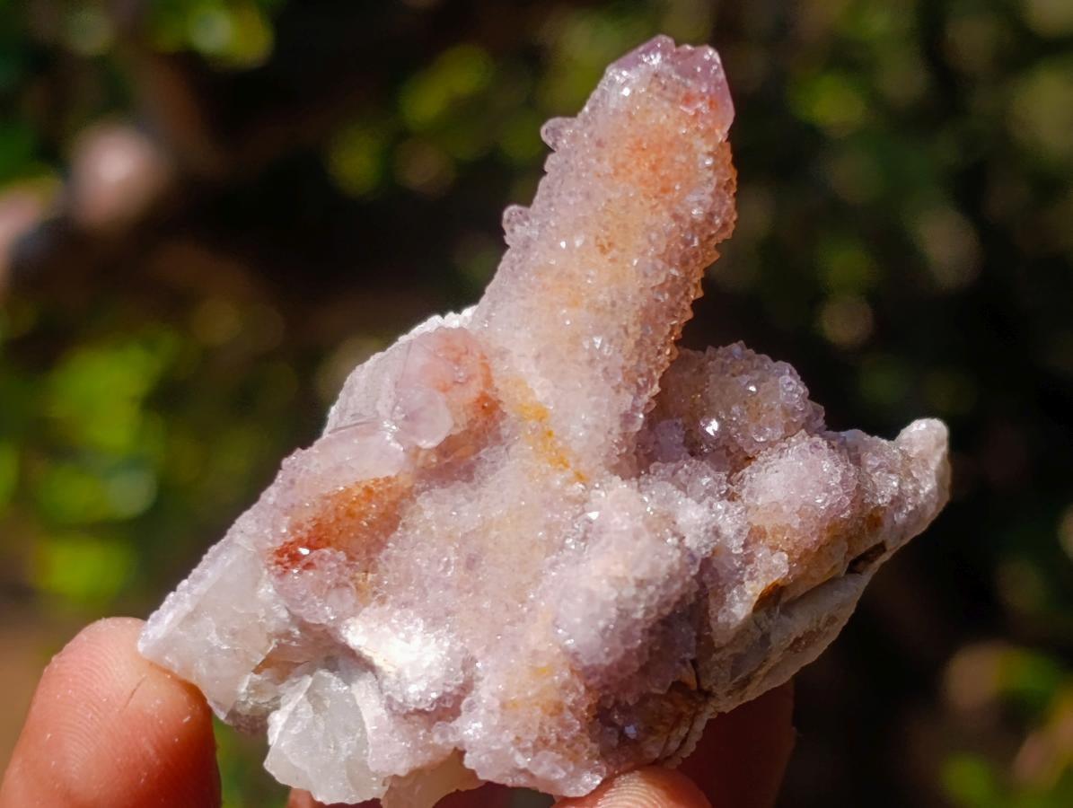 Natural Mix of Spirit Quartz Clusters x 24 From Boekenhouthoek, South Africa