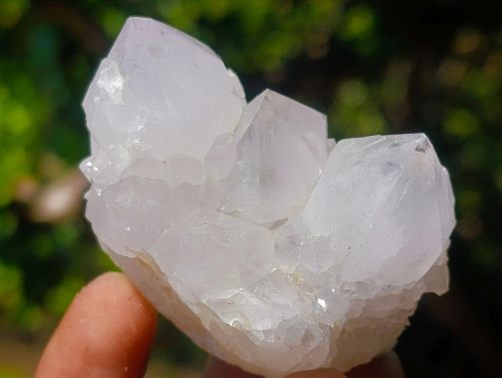 Natural Mix of Spirit Quartz Clusters x 24 From Boekenhouthoek, South Africa