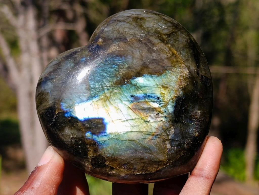 Polished Labradorite Hearts x 2 From Madagascar