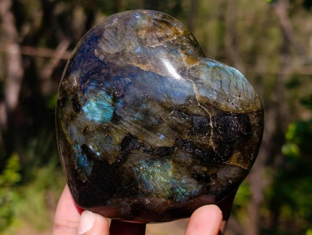 Polished Labradorite Hearts x 2 From Madagascar