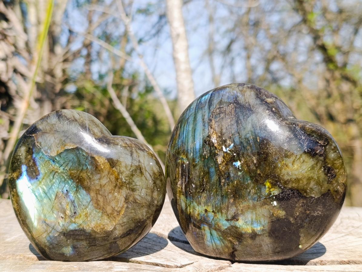 Polished Labradorite Hearts x 2 From Madagascar