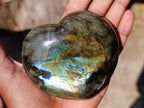 Polished Labradorite Hearts x 2 From Madagascar