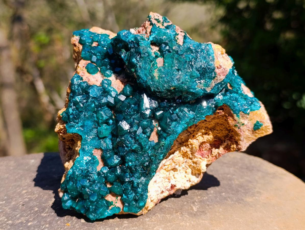 Natural `Large Cabinet Size Dioptase Specimen on Dolomite x 1 From Mashamba East Mine, Congo