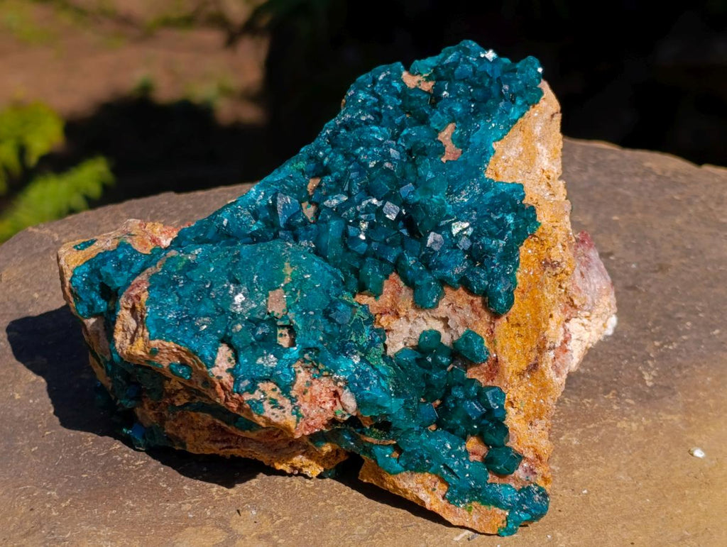 Natural `Large Cabinet Size Dioptase Specimen on Dolomite x 1 From Mashamba East Mine, Congo