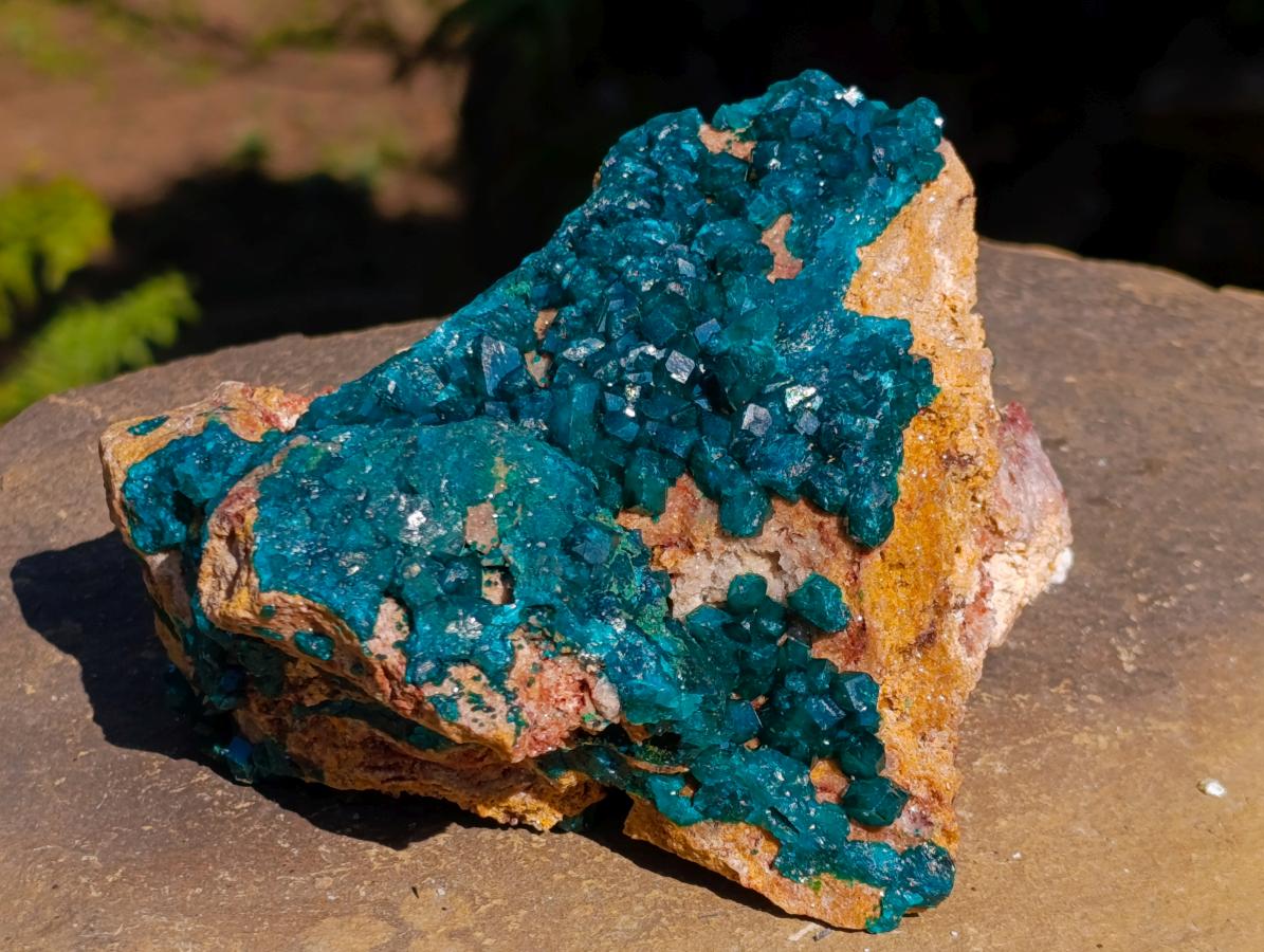 Natural `Large Cabinet Size Dioptase Specimen on Dolomite x 1 From Mashamba East Mine, Congo