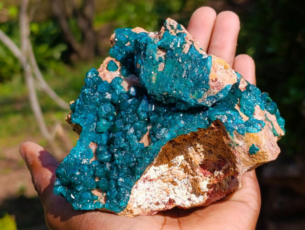 Natural `Large Cabinet Size Dioptase Specimen on Dolomite x 1 From Mashamba East Mine, Congo