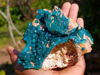 Natural `Large Cabinet Size Dioptase Specimen on Dolomite x 1 From Mashamba East Mine, Congo