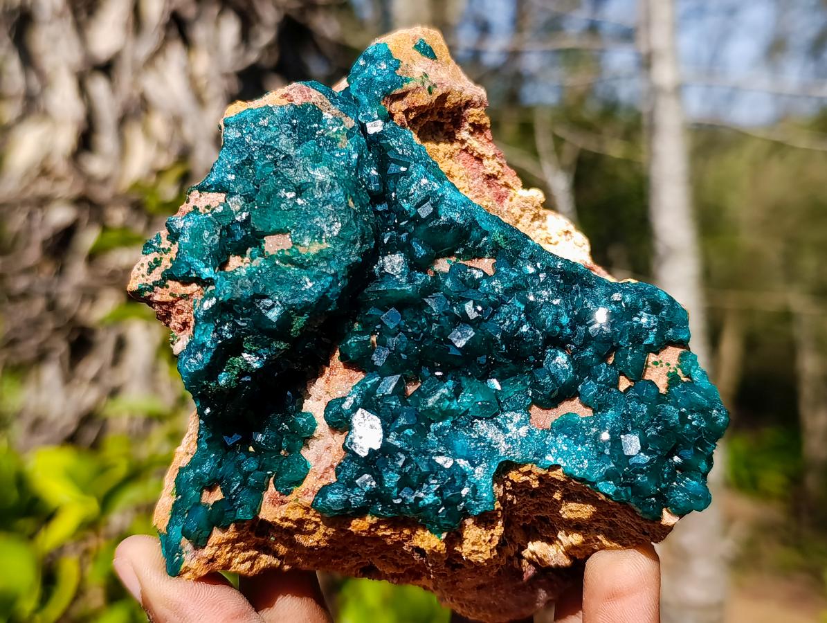 Natural `Large Cabinet Size Dioptase Specimen on Dolomite x 1 From Mashamba East Mine, Congo
