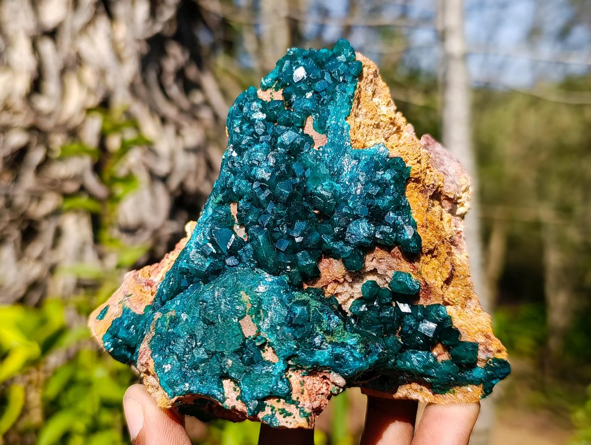 Natural `Large Cabinet Size Dioptase Specimen on Dolomite x 1 From Mashamba East Mine, Congo
