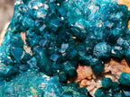 Natural `Large Cabinet Size Dioptase Specimen on Dolomite x 1 From Mashamba East Mine, Congo