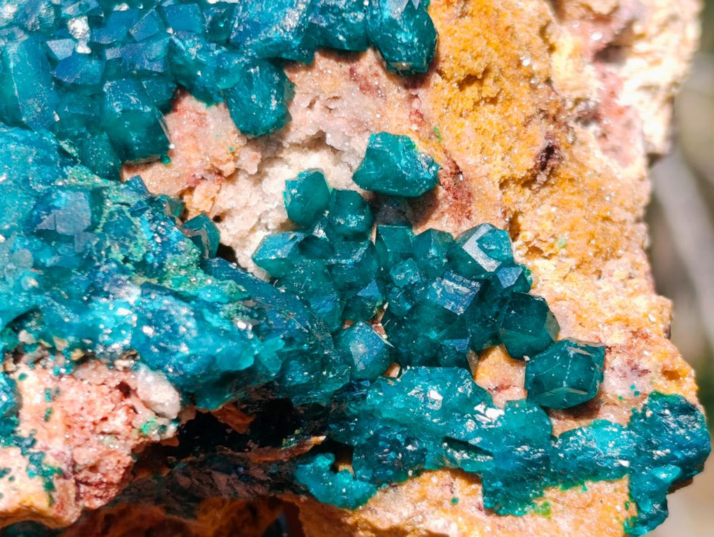 Natural `Large Cabinet Size Dioptase Specimen on Dolomite x 1 From Mashamba East Mine, Congo