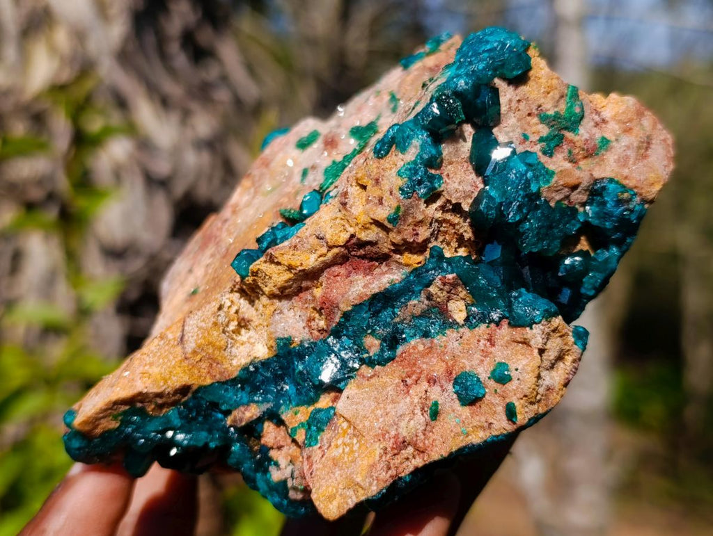 Natural `Large Cabinet Size Dioptase Specimen on Dolomite x 1 From Mashamba East Mine, Congo