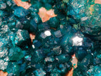 Natural `Large Cabinet Size Dioptase Specimen on Dolomite x 1 From Mashamba East Mine, Congo