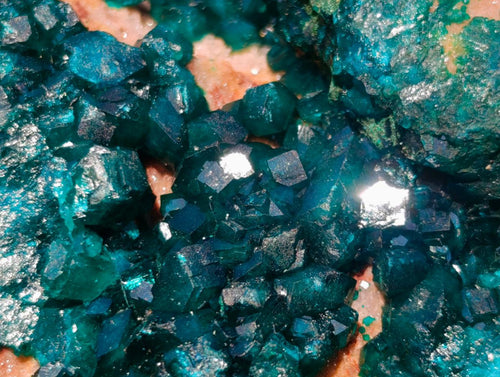 Natural `Large Cabinet Size Dioptase Specimen on Dolomite x 1 From Mashamba East Mine, Congo