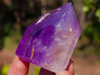 Polished Window Amethyst Crystal x 12 From Akansobe, Madagascar