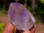 Polished Window Amethyst Crystal x 12 From Akansobe, Madagascar