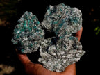 Natural Emerald Mica 'Mutokolite' Cobbed Specimens x 18 From Mutoko, Zimbabwe