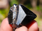 Natural Schorl Black Tourmaline Crystal and Cluster Specimens x 142 From Erongo, Namibia