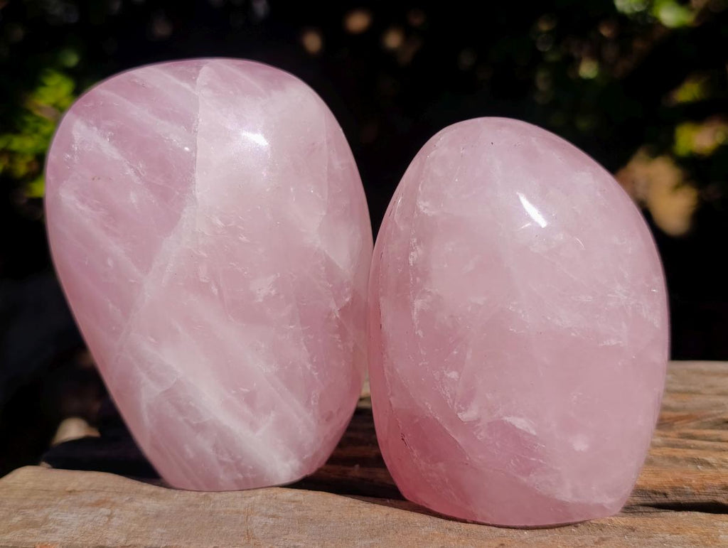 Polished Rose Quartz Standing Display Pieces x 6 From Zimbabwe