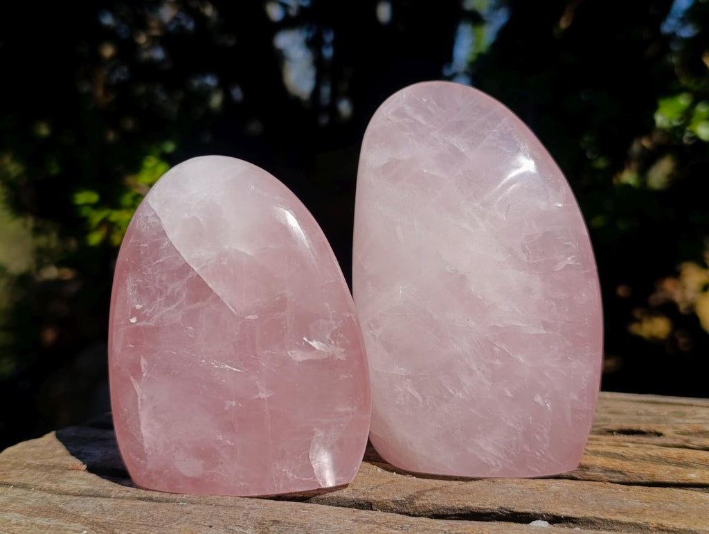Polished Rose Quartz Standing Display Pieces x 6 From Zimbabwe