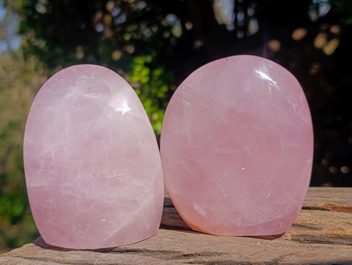 Polished Rose Quartz Standing Display Pieces x 6 From Zimbabwe