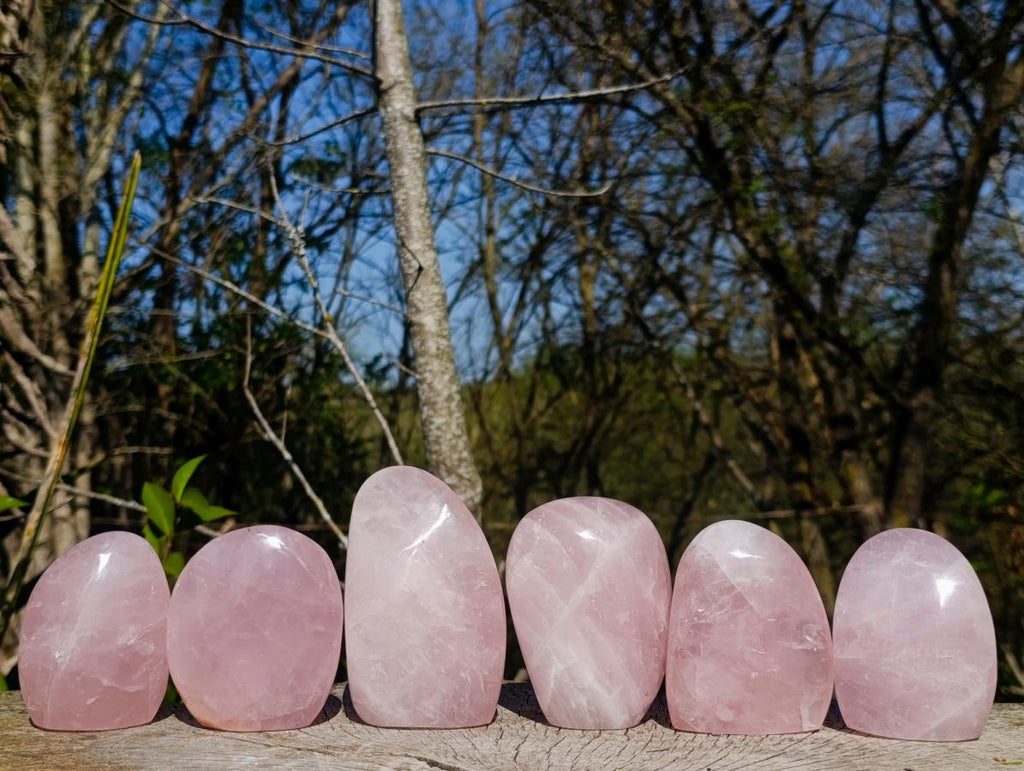 Polished Rose Quartz Standing Display Pieces x 6 From Zimbabwe