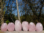 Polished Rose Quartz Standing Display Pieces x 6 From Zimbabwe