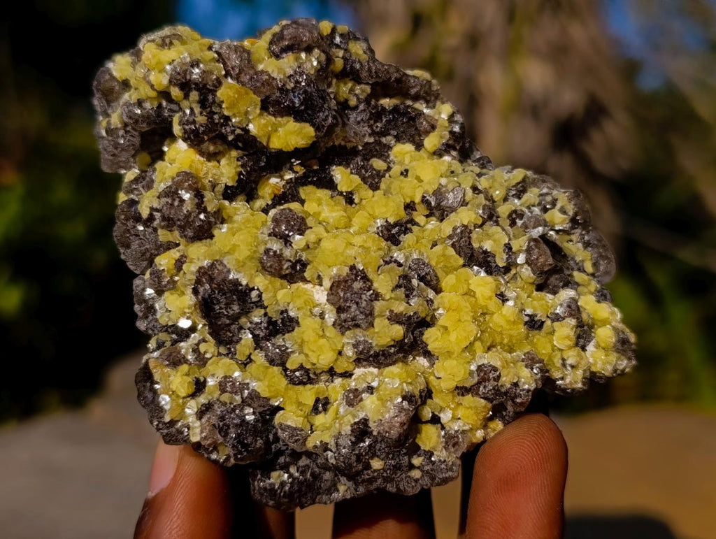 Natural Smokey Fluorite Specimens with Associated Minerals x 6 From Erongo, Namibia