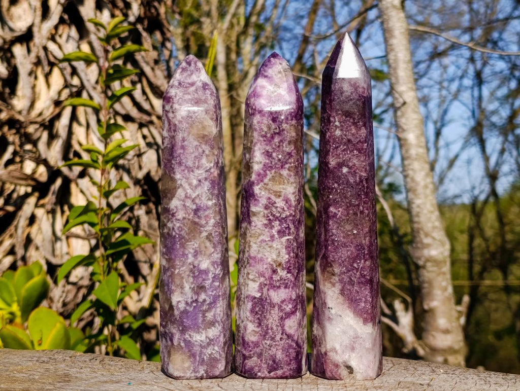 Polished Lepidolite Display Crystals x 3 From Ambatondrazaka, Madagascar