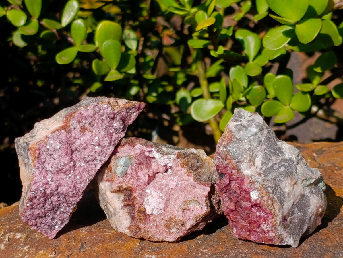 Natural Salrose Cobaltoan Dolomite Specimens x 12 From Kakanda, Congo