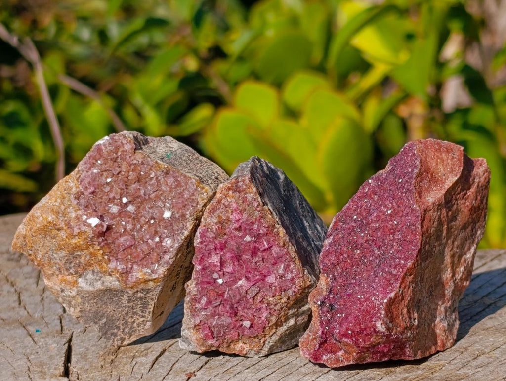 Natural Salrose Cobaltoan Dolomite Specimens x 12 From Kakanda, Congo