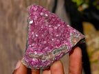 Natural Salrose Cobaltoan Dolomite Specimens x 12 From Kakanda, Congo
