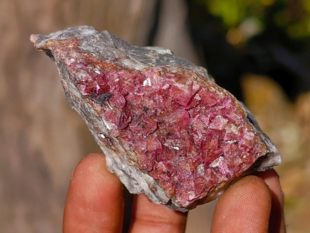 Natural Salrose Cobaltoan Dolomite Specimens x 12 From Kakanda, Congo