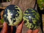 Polished Leopard Stone Free Forms x 6 From Zimbabwe