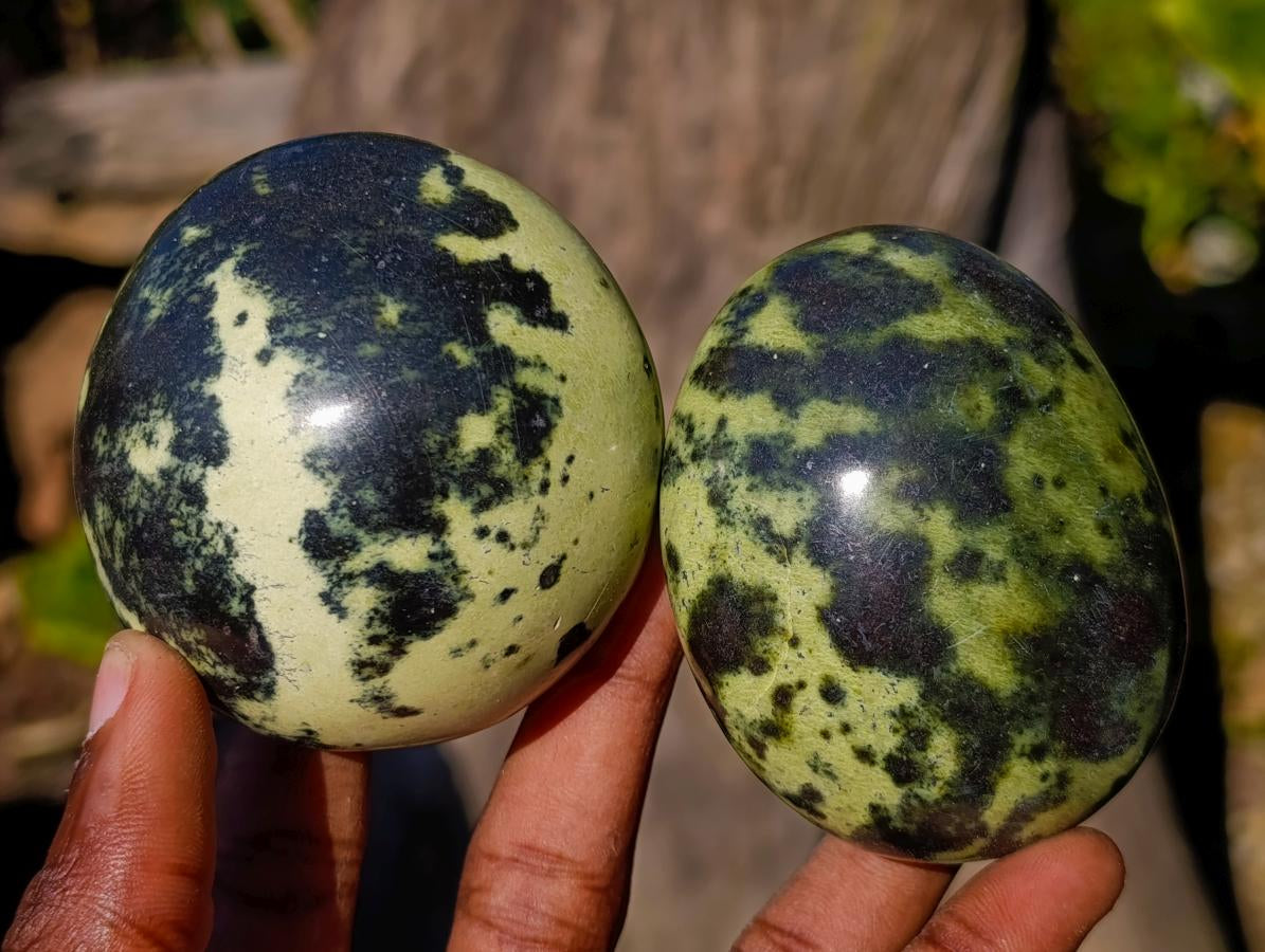 Polished Leopard Stone Free Forms x 6 From Zimbabwe