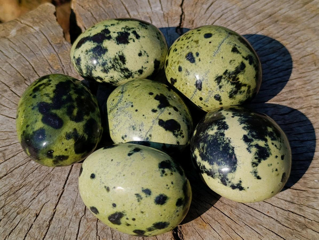 Polished Leopard Stone Free Forms x 6 From Zimbabwe
