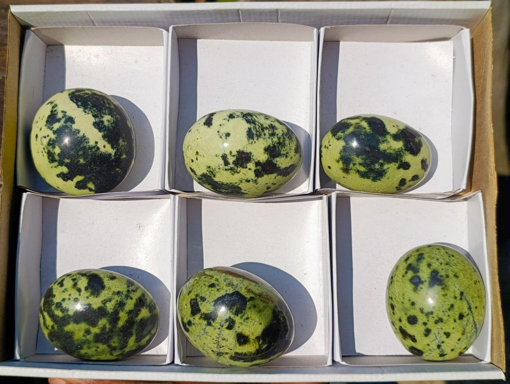 Polished Leopard Stone Free Forms x 6 From Zimbabwe