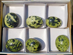 Polished Leopard Stone Free Forms x 6 From Zimbabwe