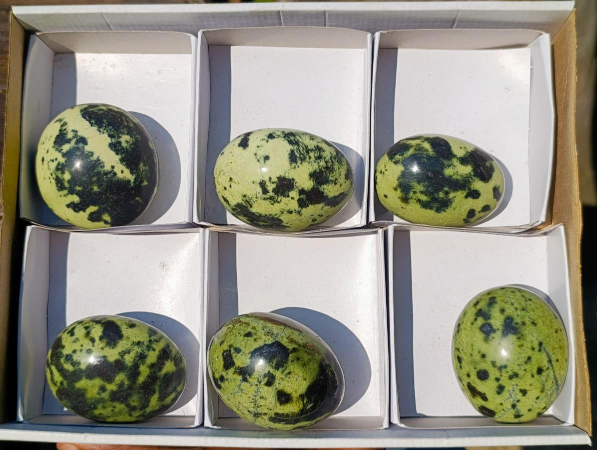 Polished Leopard Stone Free Forms x 6 From Zimbabwe