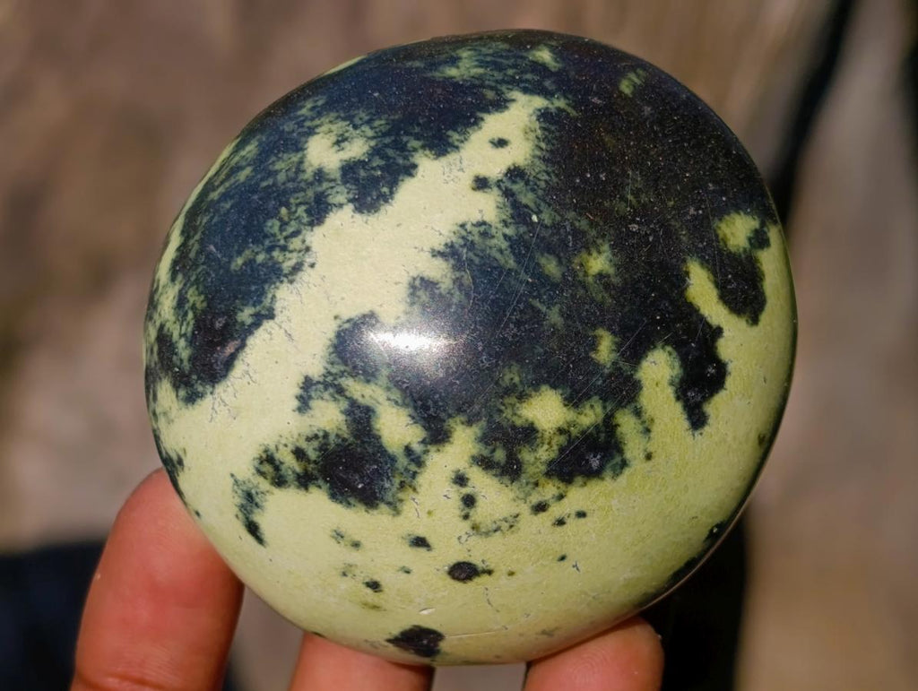 Polished Leopard Stone Free Forms x 6 From Zimbabwe