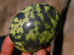 Polished Leopard Stone Free Forms x 6 From Zimbabwe
