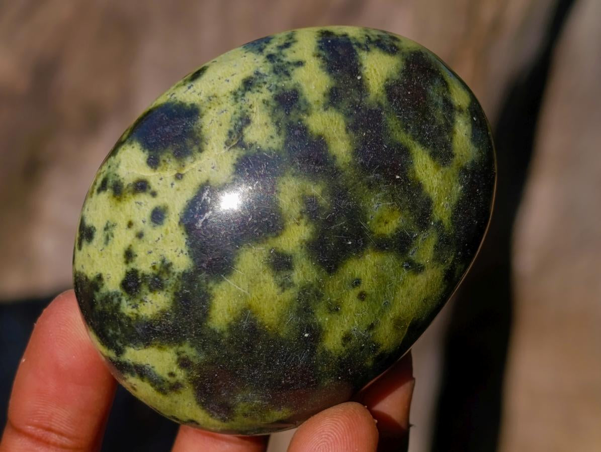 Polished Leopard Stone Free Forms x 6 From Zimbabwe