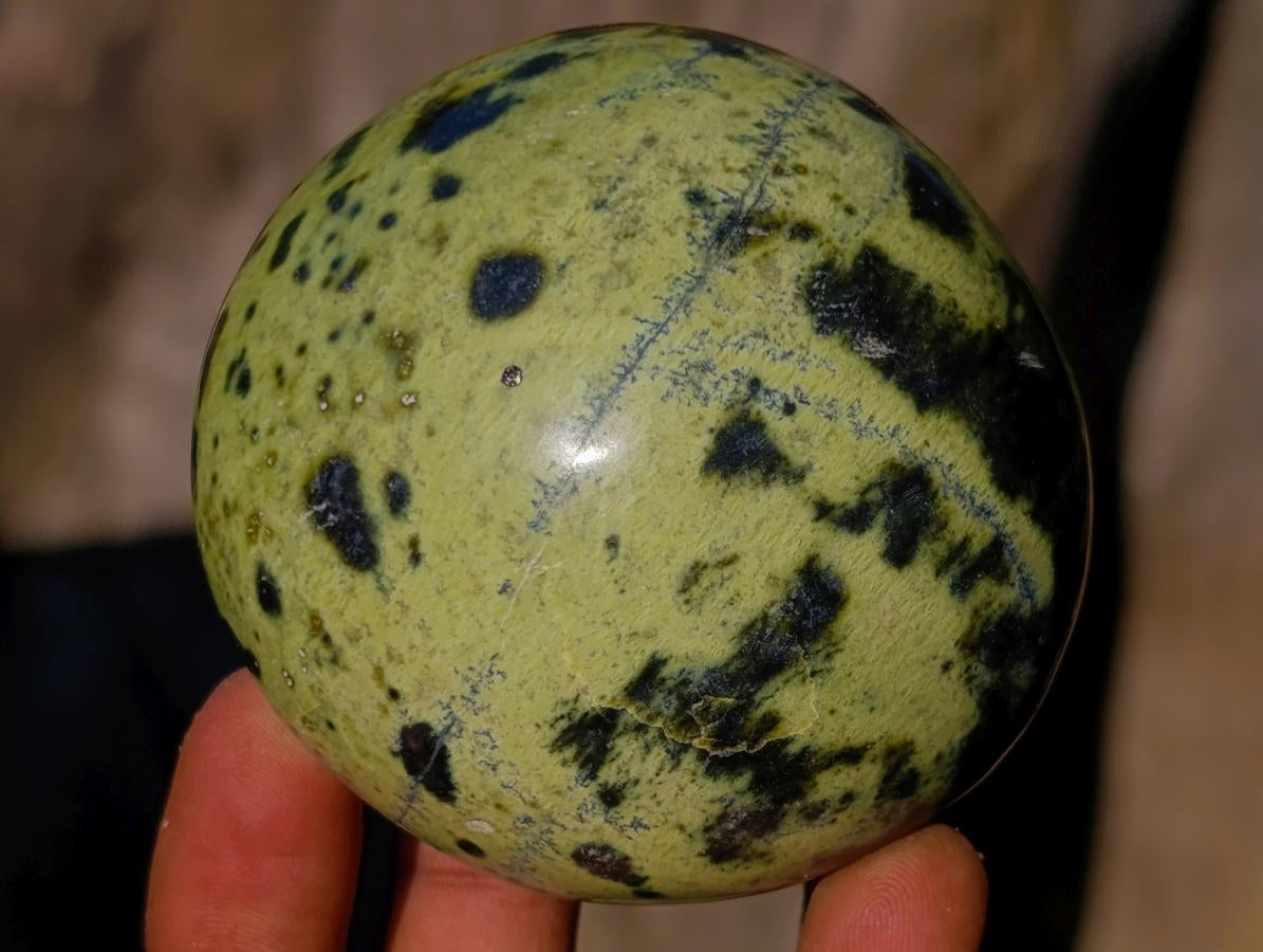 Polished Leopard Stone Free Forms x 6 From Zimbabwe