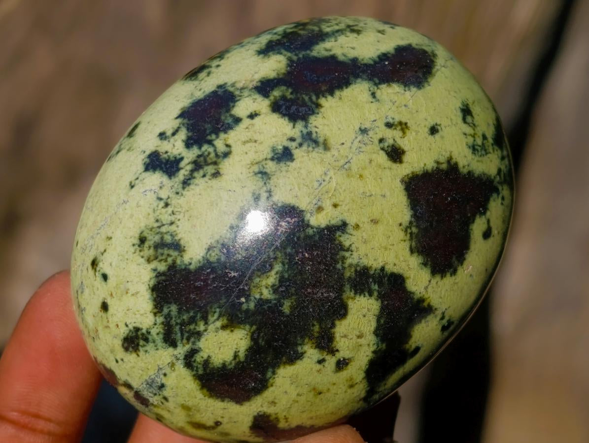 Polished Leopard Stone Free Forms x 6 From Zimbabwe