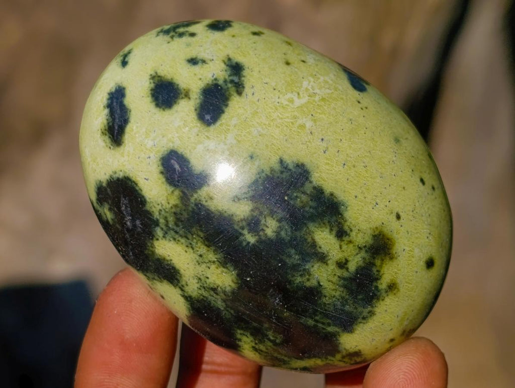 Polished Leopard Stone Free Forms x 6 From Zimbabwe
